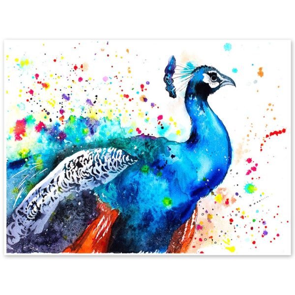 Peacock