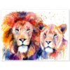 Lion Lioness Love
