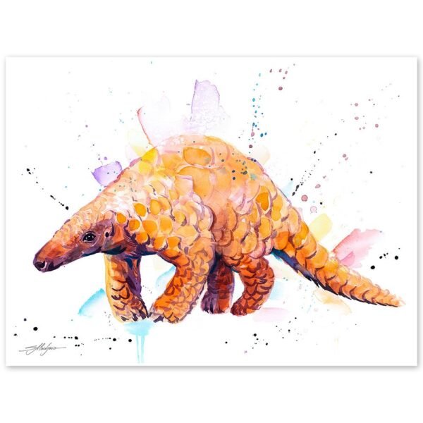 Indian Pangolin