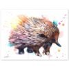 Short-beaked echidna
