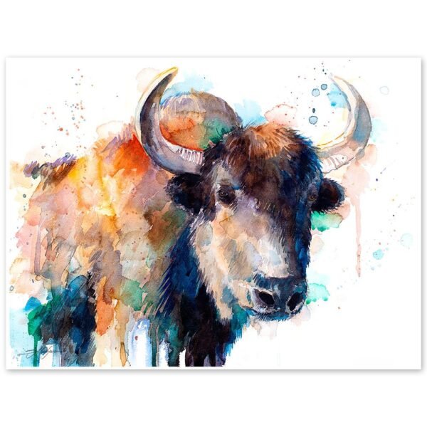 Tibetan Yak, Domestic yak