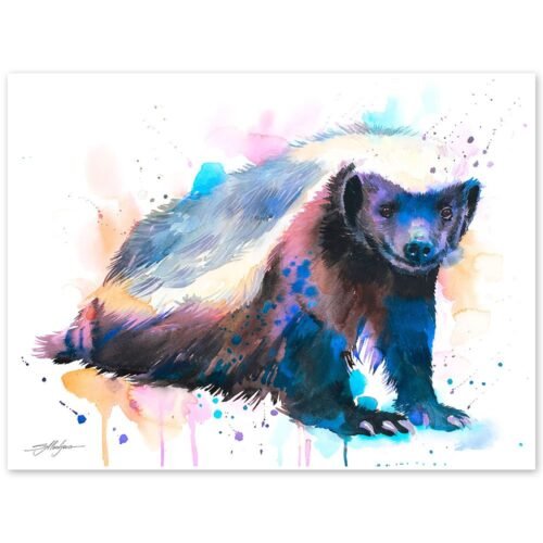 Honey badger