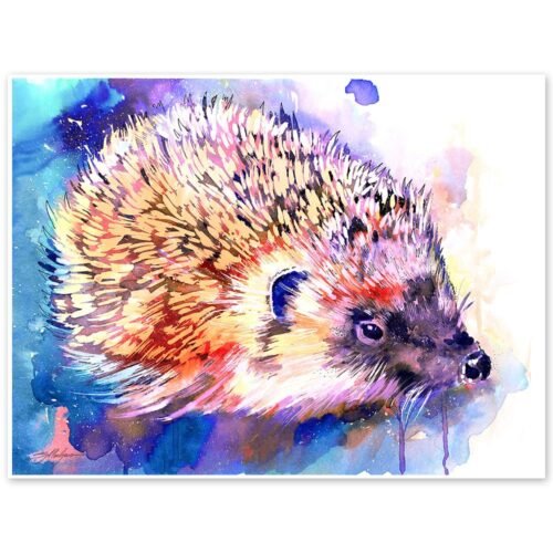 Hedgehog