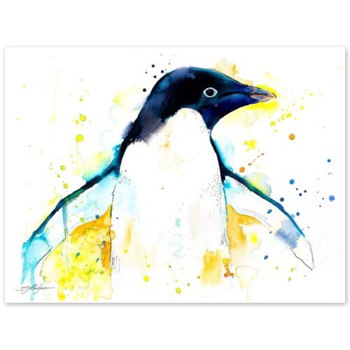 Adelie penguin