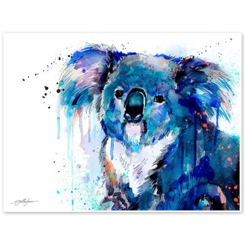 Koala