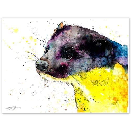 Yellow-throated marten