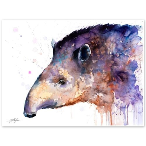 Tapir watercolor painting print by Slaveika Aladjova