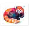 Red Panda Bear watercolor painting print by Slaveika Aladjova