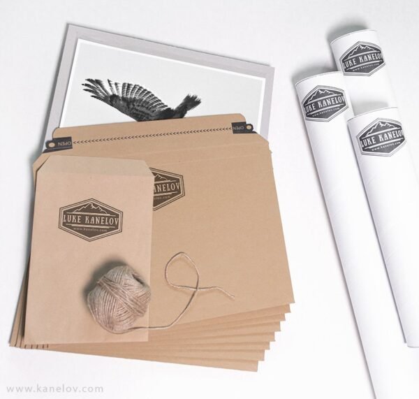Hawk Photography Print by Luke Kanelov