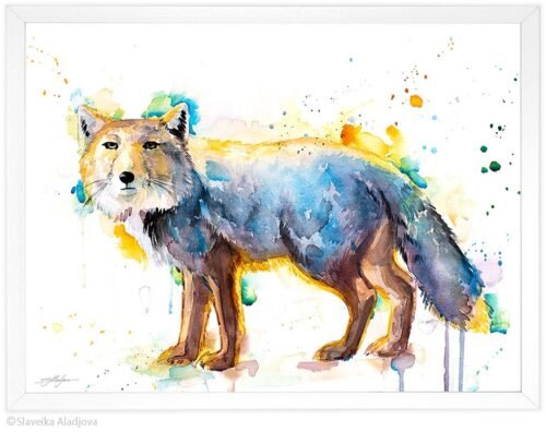 Tibetan Fox