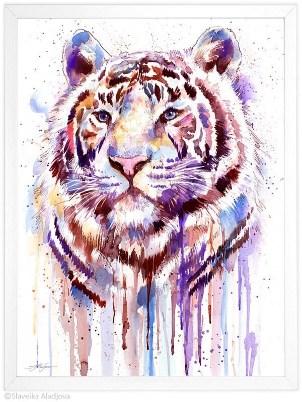 Purple tiger