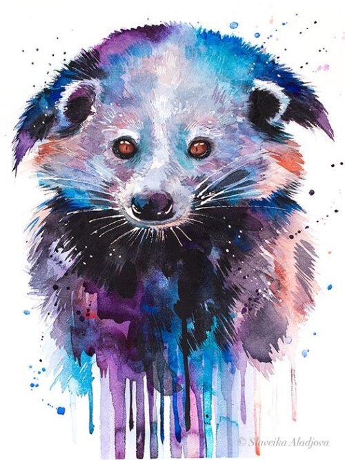 Binturong