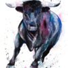 Black Bull