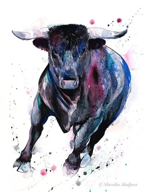 Black Bull
