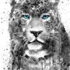 Black and white Panther Leopard Jaguar 1 Black and white Panther Leopard Jaguar