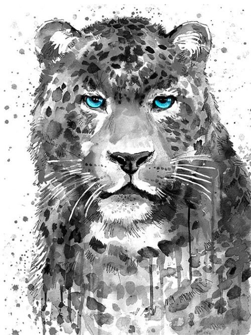 Black and white Panther Leopard Jaguar