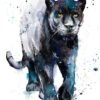 Black panther