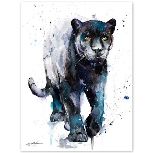 Black panther
