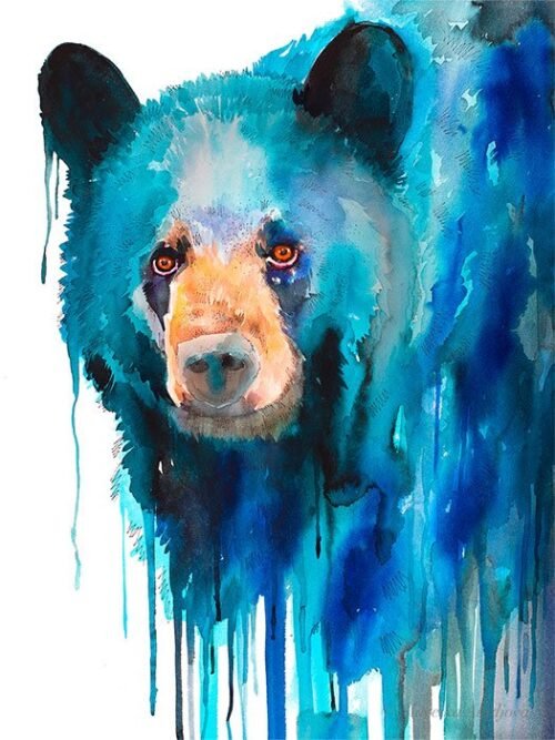 Blue American black bear
