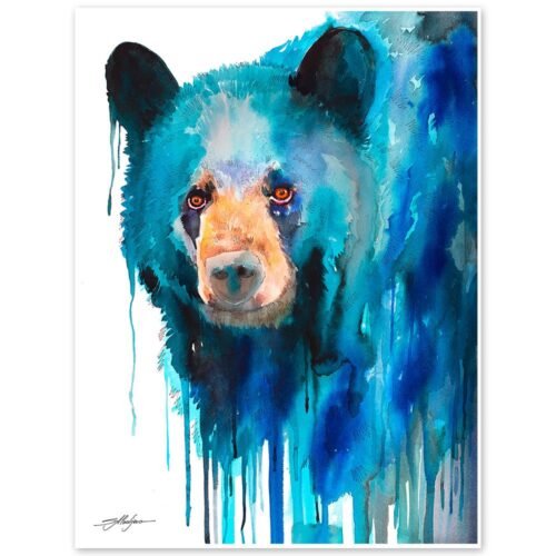 Blue American black bear