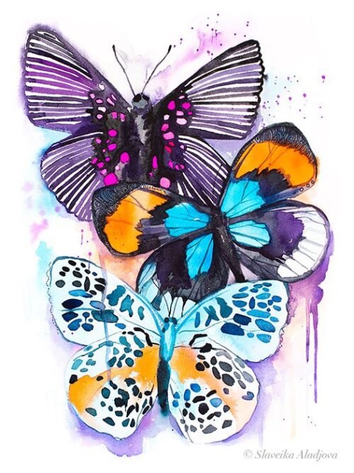 Blue and Purple Butterfly
