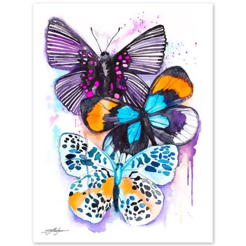 Blue and Purple Butterfly