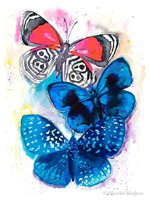 Blue and Red Butterfly