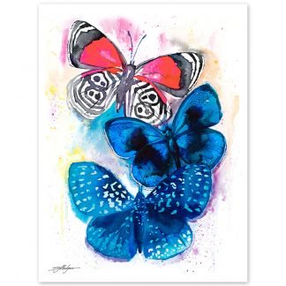 Blue and Red Butterfly