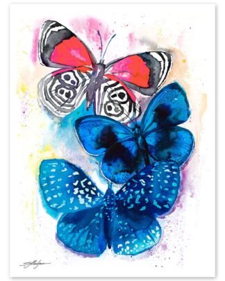 Blue and Red Butterfly