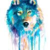 Blue wolf