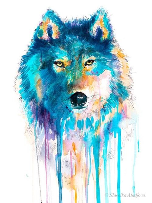 Blue wolf