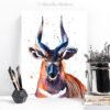 Bongo Antelope