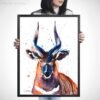 Bongo Antelope