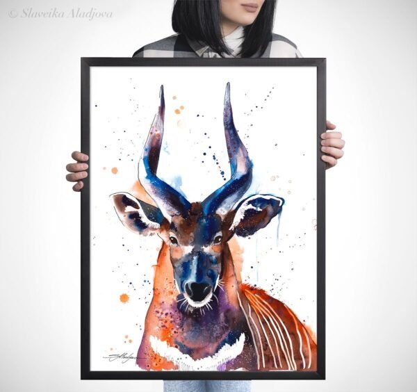 Bongo Antelope