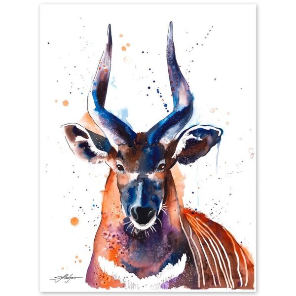 Bongo Antelope
