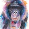 Bonobo