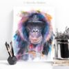 Bonobo