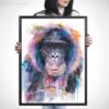 Bonobo