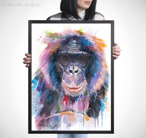 Bonobo