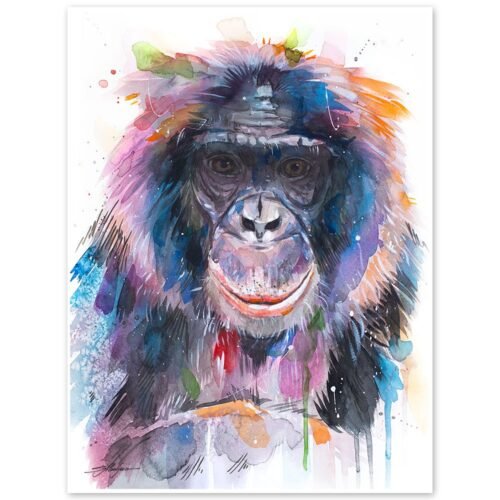 Bonobo