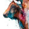Brown Bull