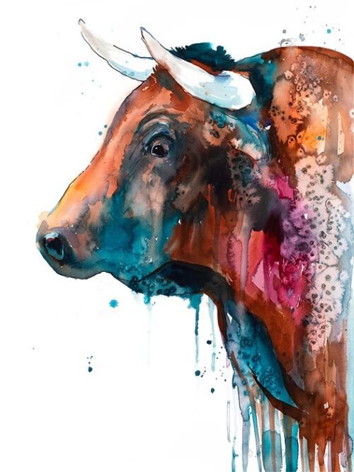 Brown Bull