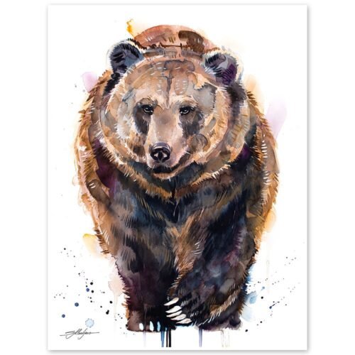 Brown bear