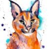 Caracal