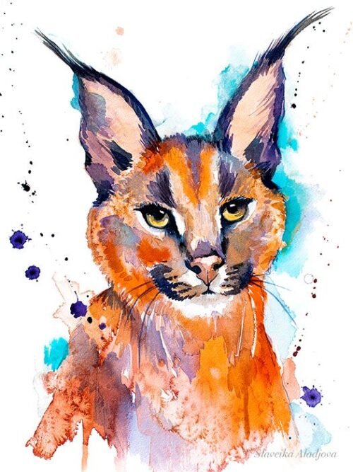 Caracal