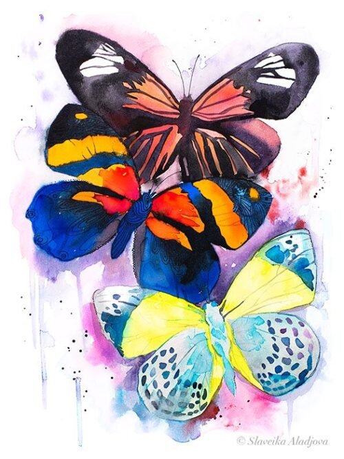 Colorful Butterfly