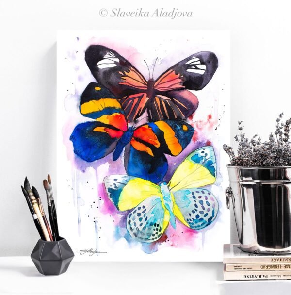 Colorful Butterfly