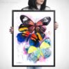 Colorful Butterfly