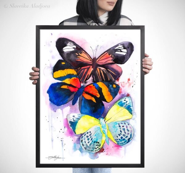 Colorful Butterfly