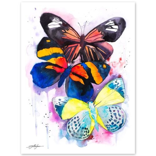 Colorful Butterfly